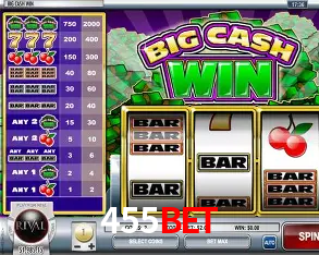 Interface Premium 455Bet